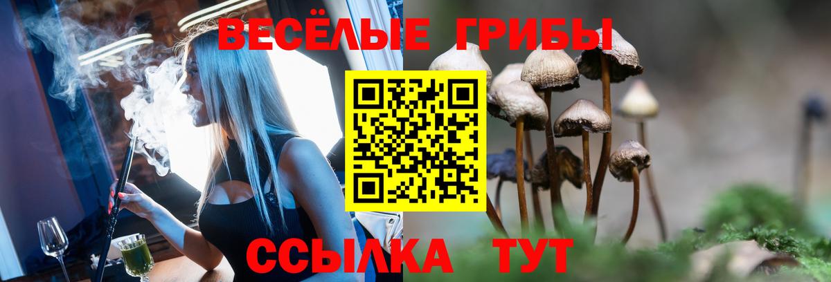 Галлюциногенные грибы GOLDEN TEACHER Клин